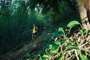 BIB: 
                            <button type="button" onclick="openModal(28124150)" class="btn btn-primary btn-sm float-right btn-popup" data-toggle="modal" data-target=".modal-high-quality">
                        <i class="fas fa-shopping-cart"></i> Add to Cart
                    </button>
                                            <button type="button" onclick="isThisMe(28124150, true)" class="btn btn-success btn-sm float-right btn-popup btn-isme hidden" data-toggle="tooltip" data-placement="bottom" title="นี่คือรูปของคุณใช่ไหม คลิกที่นี่เพื่อเอาเข้าอัลบั้ม">
                        <i class="fas fa-plus"></i> Add to album
                    </button>
                    <button type="button" onclick="isThisMe(28124150, false)" class="btn btn-warning btn-sm float-right btn-popup btn-isnotme hidden">
                        <i class="fas fa-ban"></i> Remove from album
                    </button>